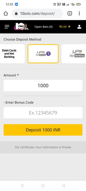 Depositing Money at an Online Casino