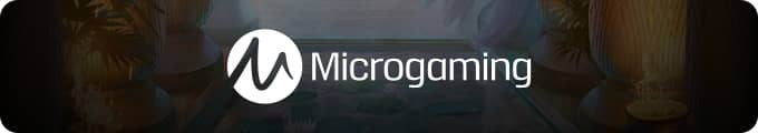 Microgaming Microgaming